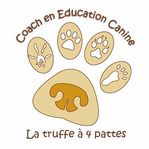 La Truffe à 4 pattes